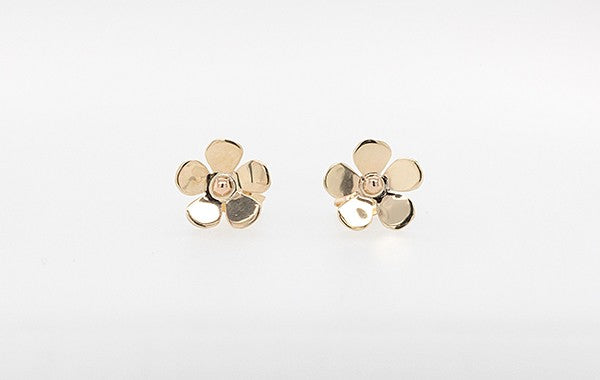 Geraldton Wax Earrings 9Y