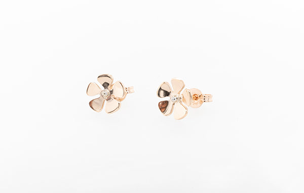 Geraldton Wax Stud Earrings 2