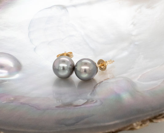 Black Lipped Pearl Studs