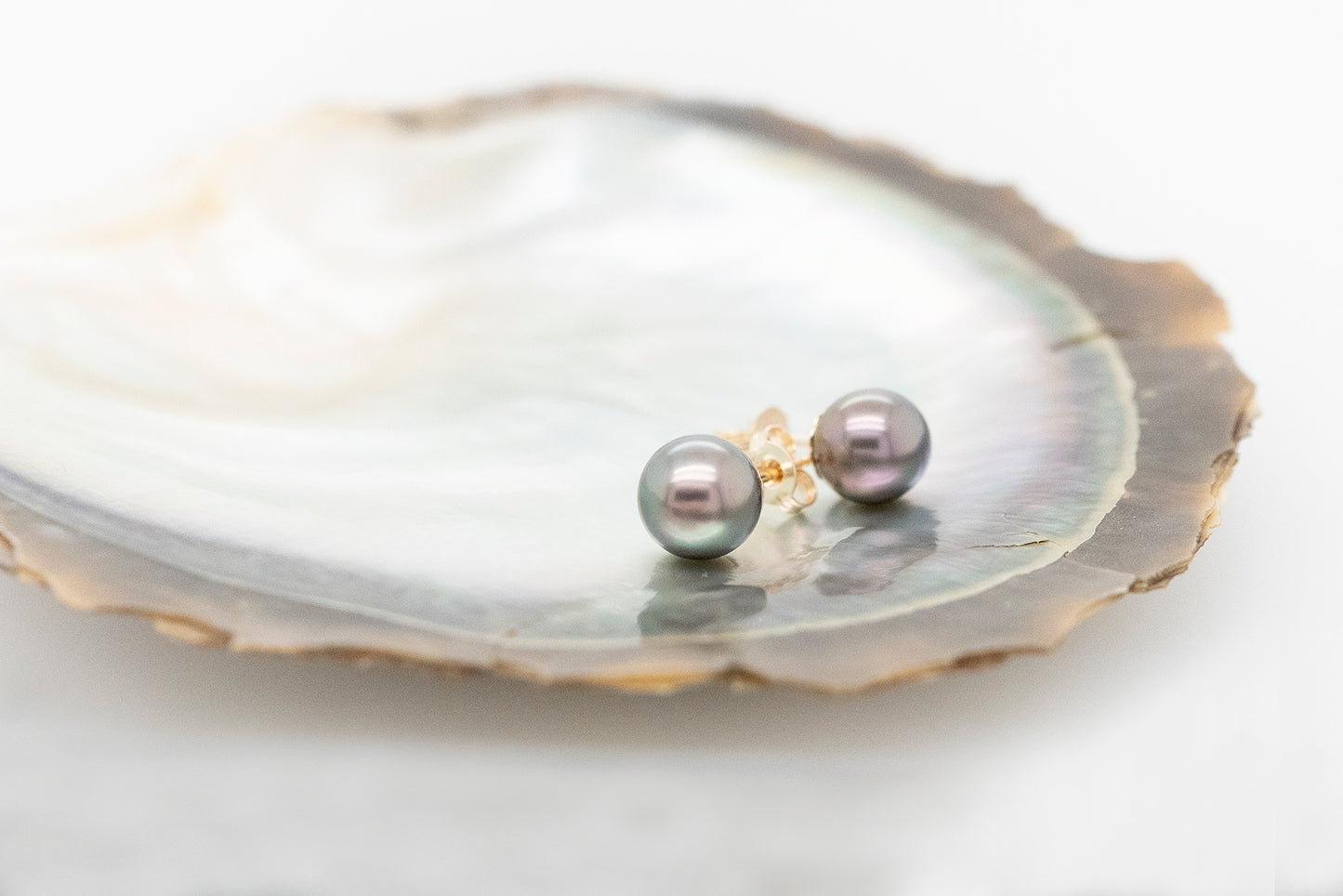 Abrolhos Island Pearl Stud Earrings