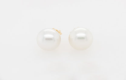 Pearl Stud Earrings A Grade Drop 10.7- 10.85mm Broome Pearls