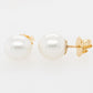 Pearl Stud Earrings A Grade Drop 10.7- 10.85mm Broome Pearls