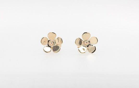 Geraldton Wax Earrings 9Y