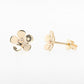 Geraldton Wax Earrings 9Y