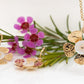 Geraldton Wax with MOP Pendant 