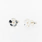 Geraldton Wax Studs