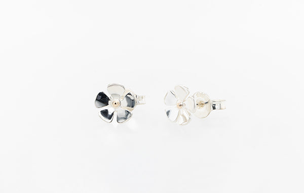Geraldton Wax Studs