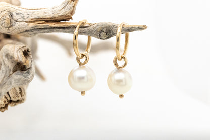 Akoya Huggie Earrings