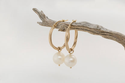 Abrolhops Pearl Hoop Earrings