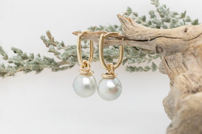 Natural Abrolhos Akoya Pearl Earrings