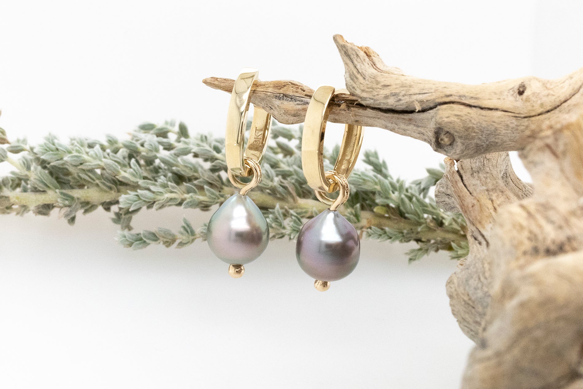 Abrolhos Islands Black Lipped Pearl Huggie Earrings
