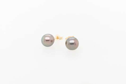 Abrolhos Island Pearl Stud Earrings 