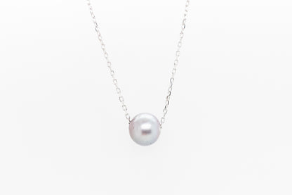 Abrolhos Islands Black Lipped Pearl Slider