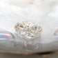 Starfish Diamond Ring 