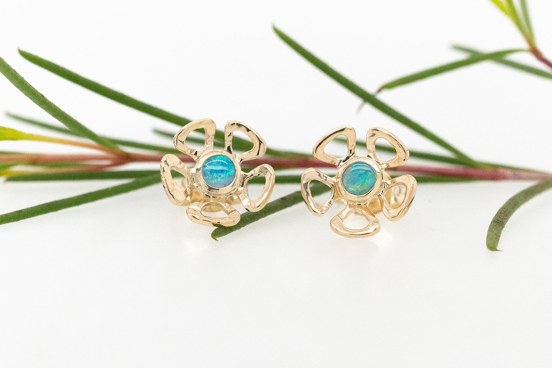Opal Geraldton Wax Studs