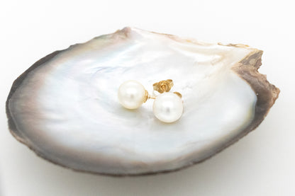 Akoya Pearl Stud Earrings 7.7mm