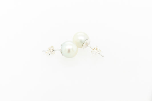 Abrolhos Island Akoya Stud Earrings