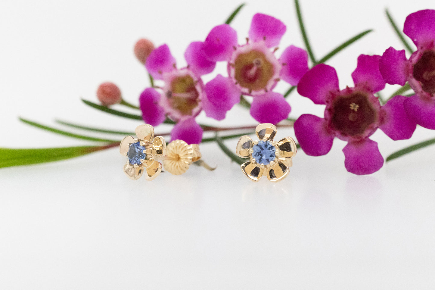 Ceylon Sapphire Geraldton Wax Stud Earrings