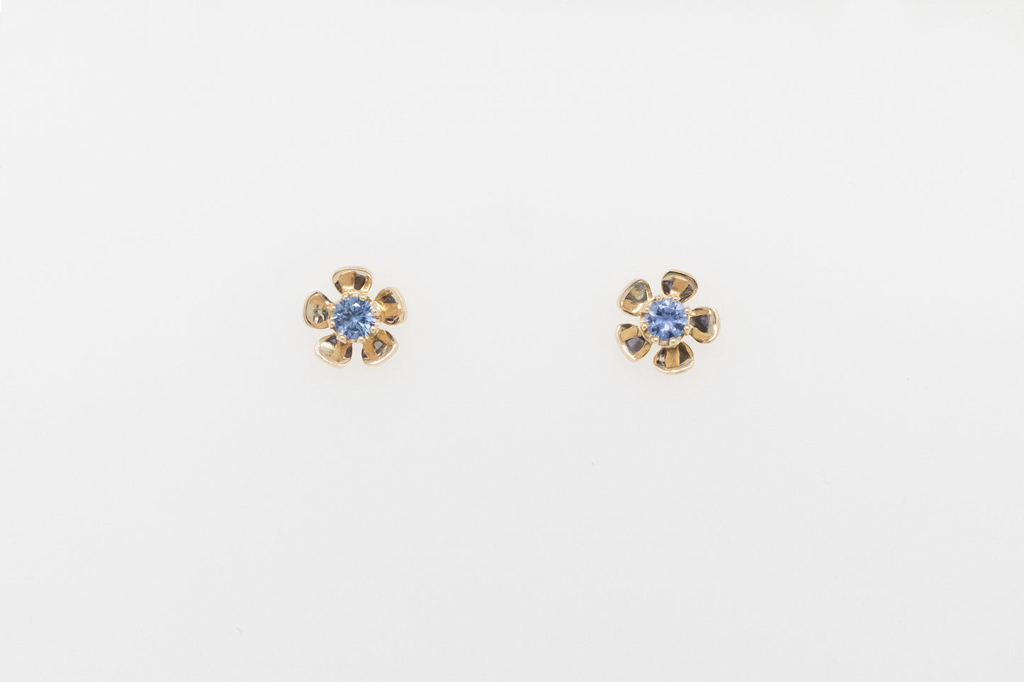 Ceylon Sapphire Geraldton Wax Stud Earrings