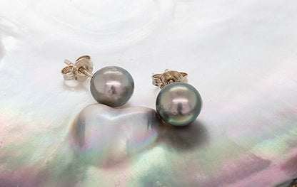 Pearl Stud Earrings 7.64-7.7mm