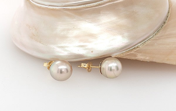 Pearl Stud Earrings Platinum Champagne Coloured