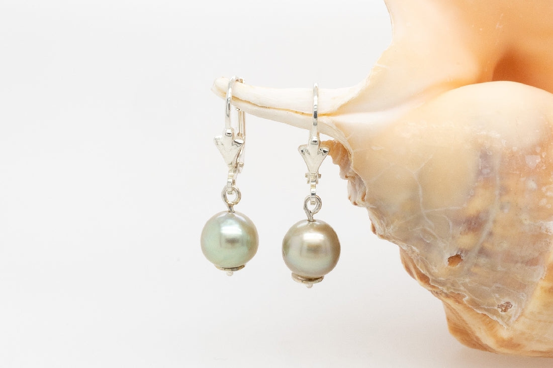 Abrolhos Pearl Drop Earrings SS